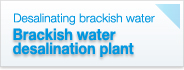 Brackish water 
desalination plant