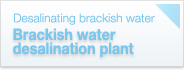 Brackish water 
desalination plant